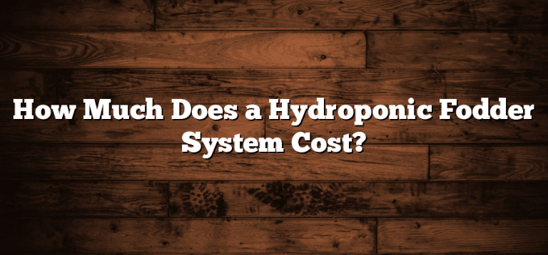 How Much Does A Hydroponic Fodder System Cost Inter Culturalu