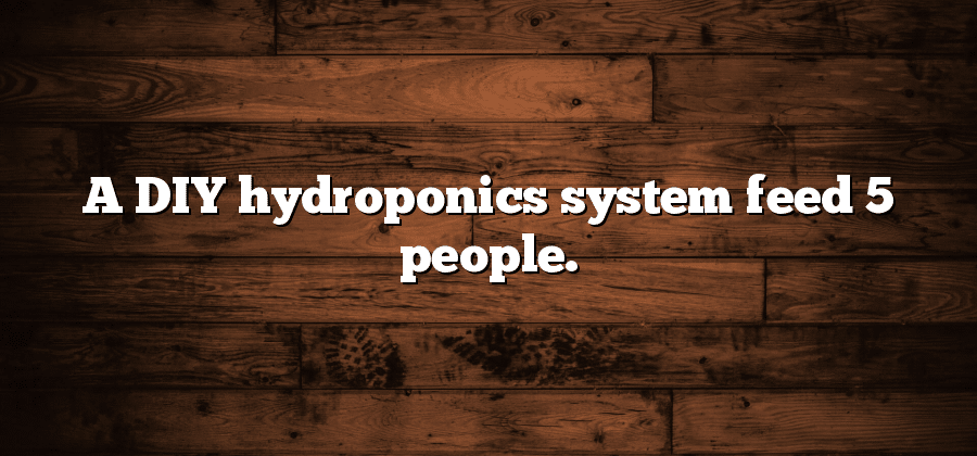 A DIY hydroponics system feed 5 people.