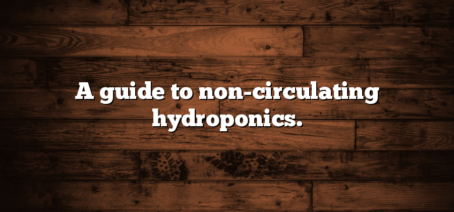 A guide to non-circulating hydroponics.