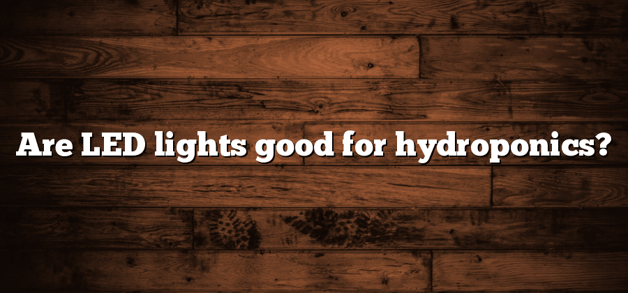 Are LED lights good for hydroponics?