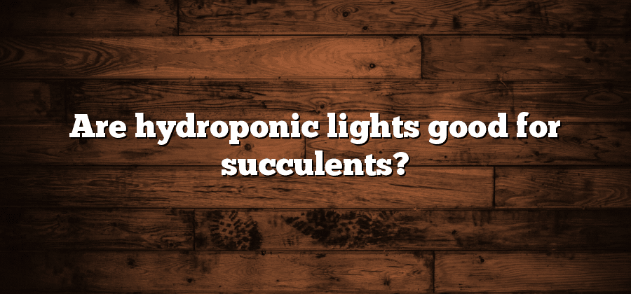 Are hydroponic lights good for succulents?