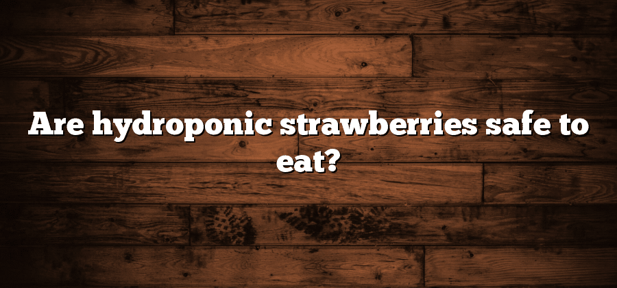 Are hydroponic strawberries safe to eat?