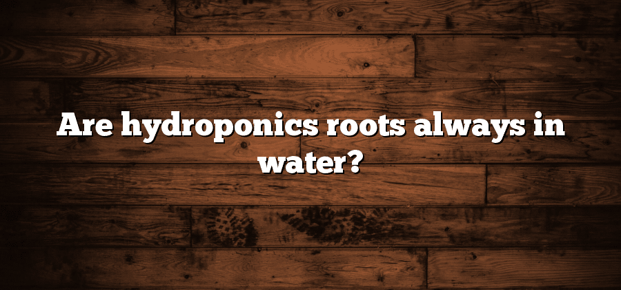 Are hydroponics roots always in water?