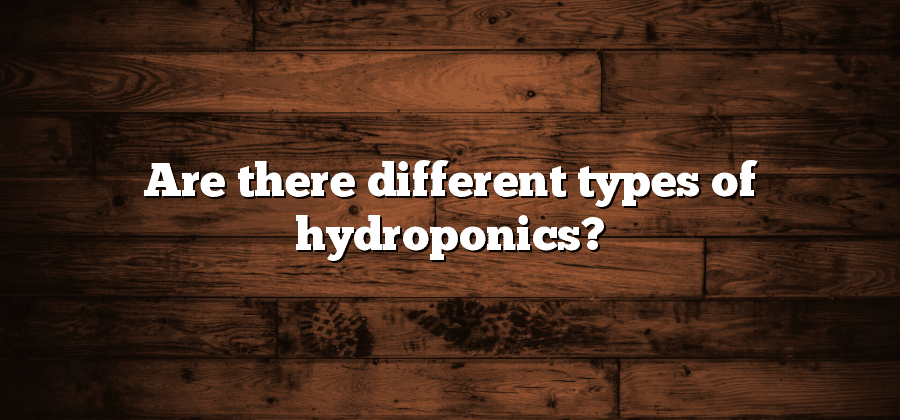 Are there different types of hydroponics?