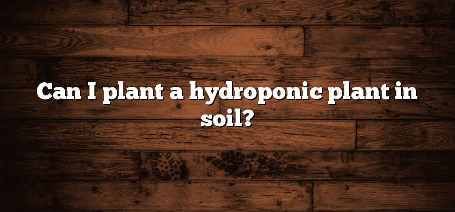 Can I plant a hydroponic plant in soil?