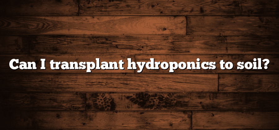 Can I transplant hydroponics to soil?