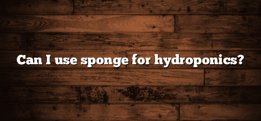 Can I use sponge for hydroponics?