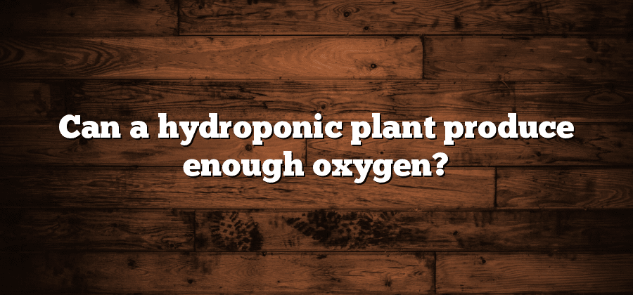Can a hydroponic plant produce enough oxygen?