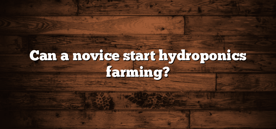 Can a novice start hydroponics farming?
