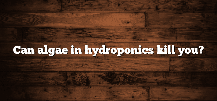 Can algae in hydroponics kill you?