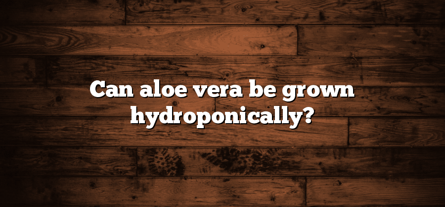 Can aloe vera be grown hydroponically?