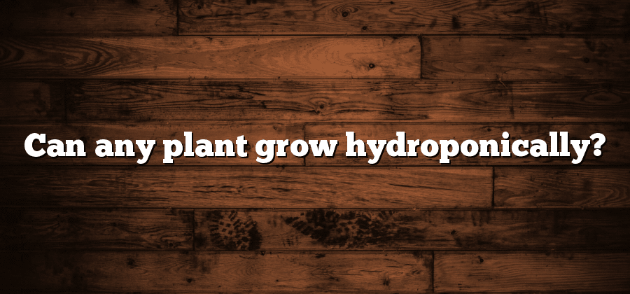 Can any plant grow hydroponically?
