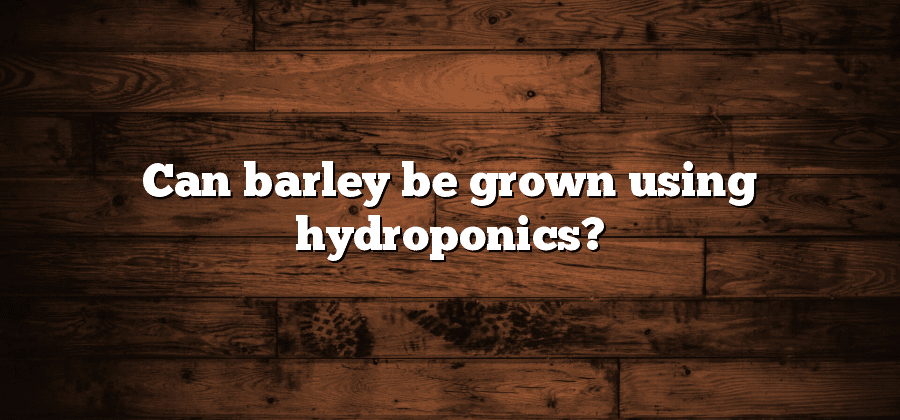 Can barley be grown using hydroponics?