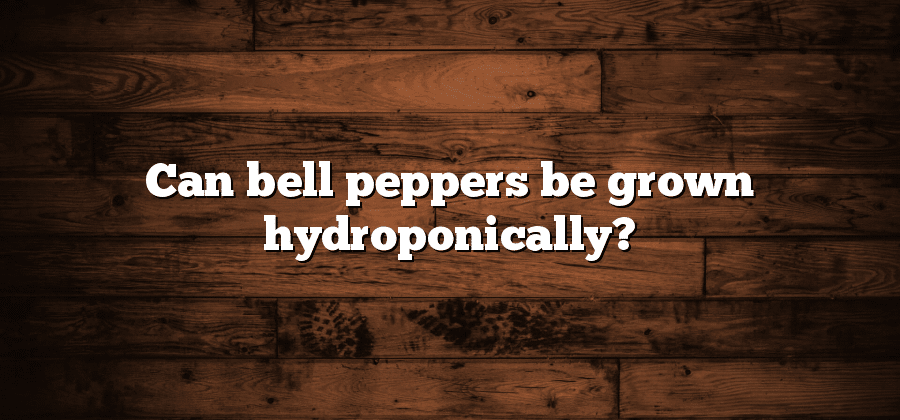 Can bell peppers be grown hydroponically?