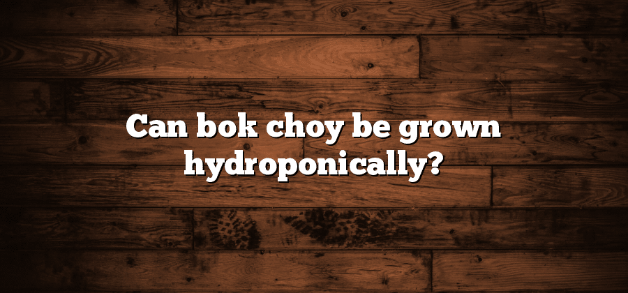 Can bok choy be grown hydroponically?