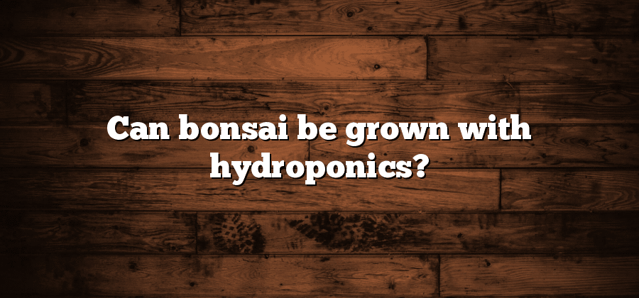 Can bonsai be grown with hydroponics?