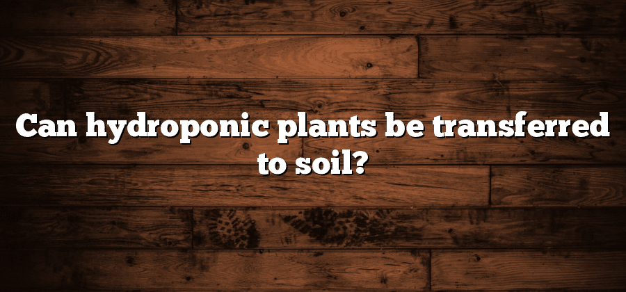 Can hydroponic plants be transferred to soil?