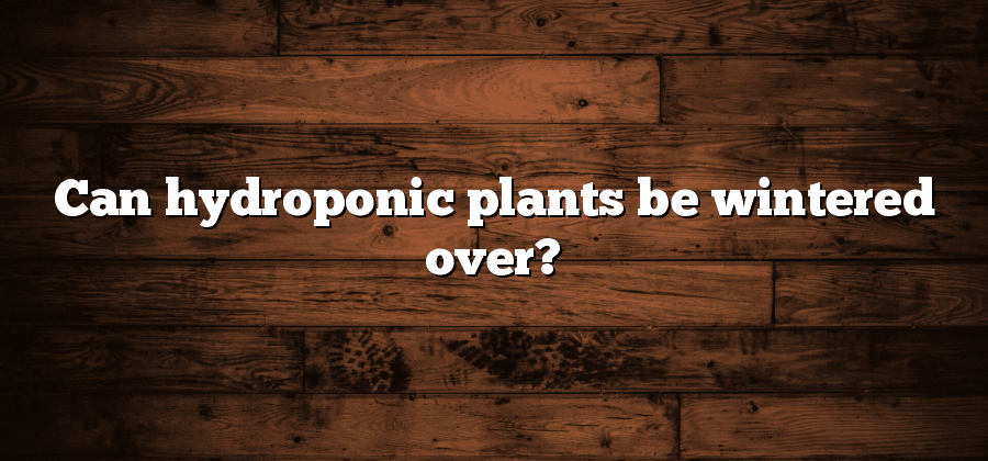 Can hydroponic plants be wintered over?
