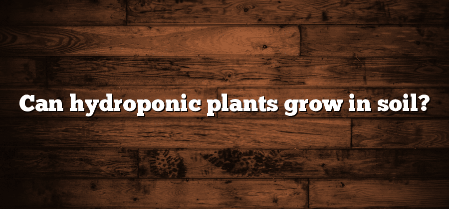 Can hydroponic plants grow in soil?