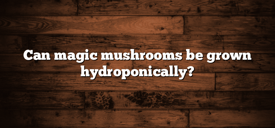 Can magic mushrooms be grown hydroponically?