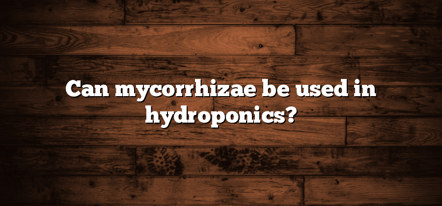 Can mycorrhizae be used in hydroponics?