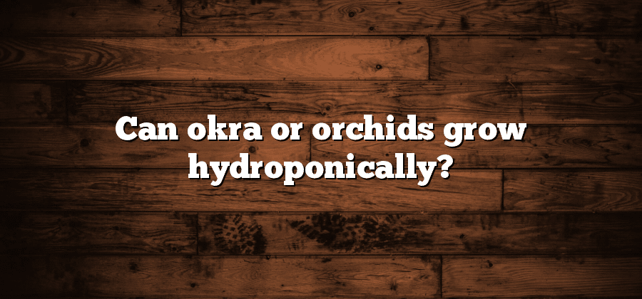 Can okra or orchids grow hydroponically?