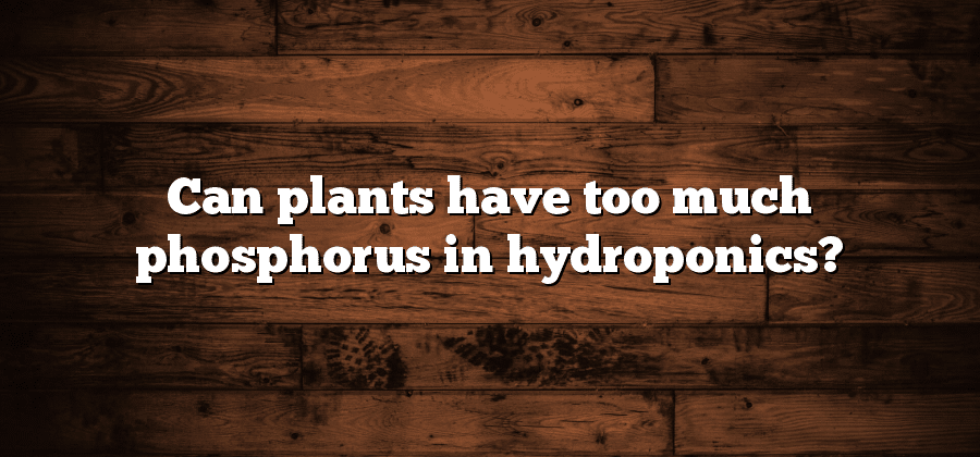 Can plants have too much phosphorus in hydroponics?