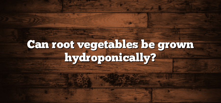 Can root vegetables be grown hydroponically?