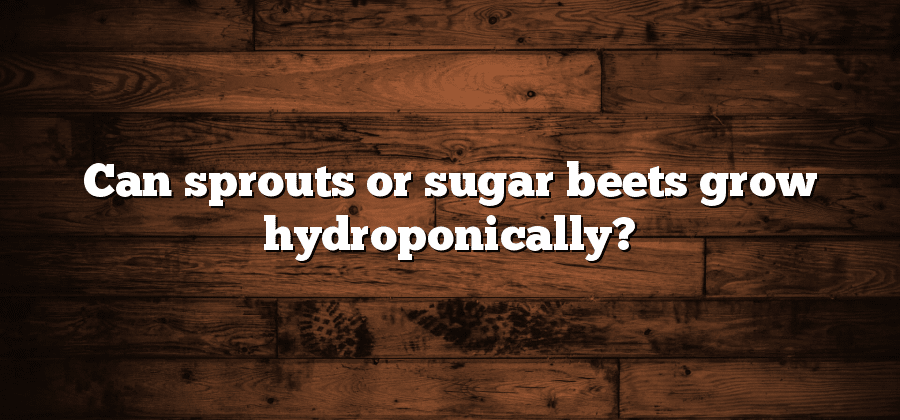 Can sprouts or sugar beets grow hydroponically?