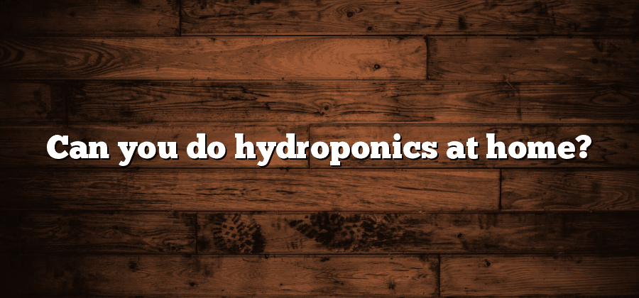 Can you do hydroponics at home?