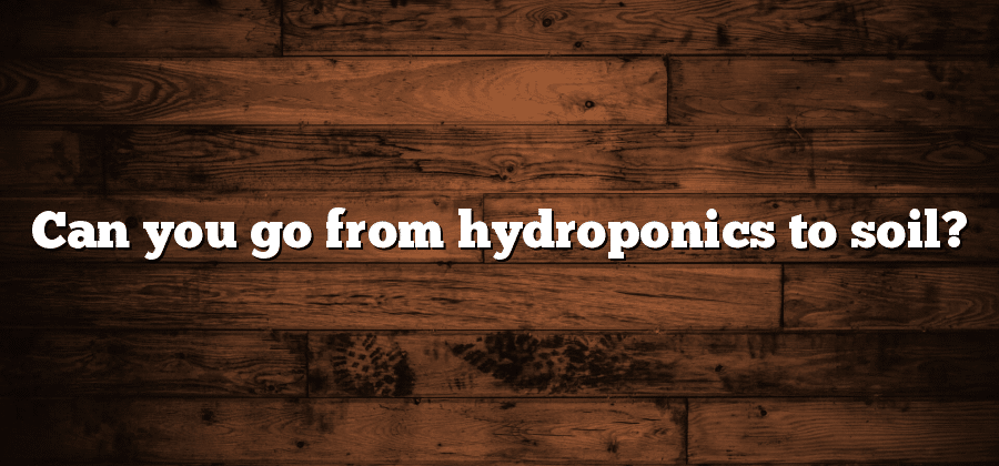 Can you go from hydroponics to soil?
