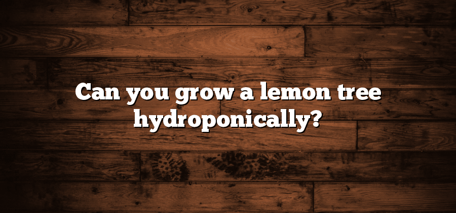 Can you grow a lemon tree hydroponically?