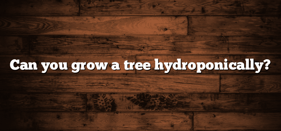 Can you grow a tree hydroponically?