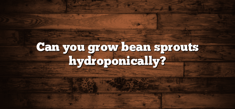 Can you grow bean sprouts hydroponically?