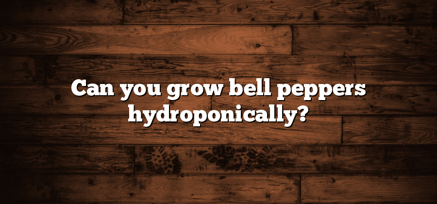 Can you grow bell peppers hydroponically?