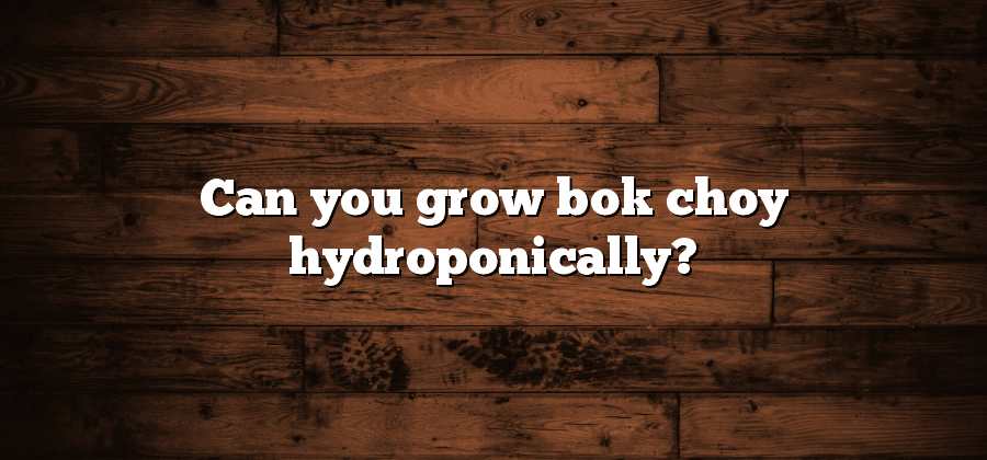 Can you grow bok choy hydroponically?
