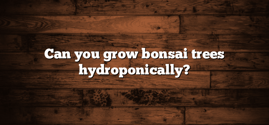 Can you grow bonsai trees hydroponically?