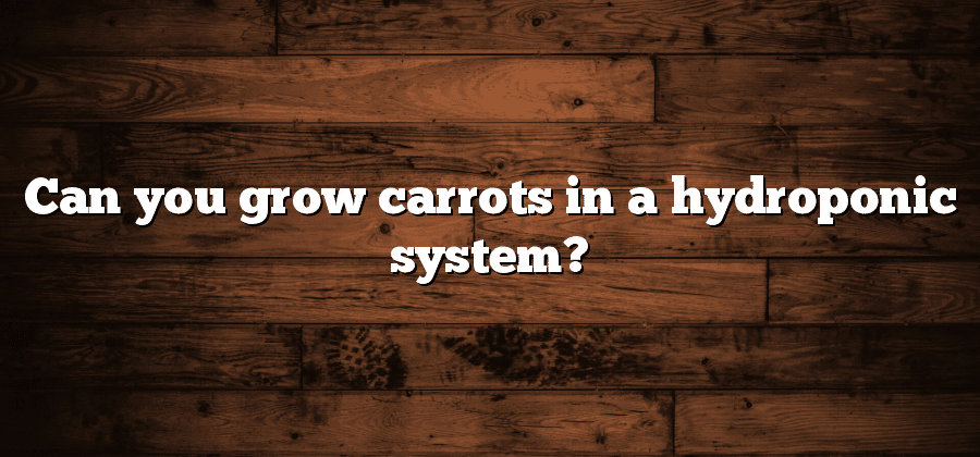 Can you grow carrots in a hydroponic system?