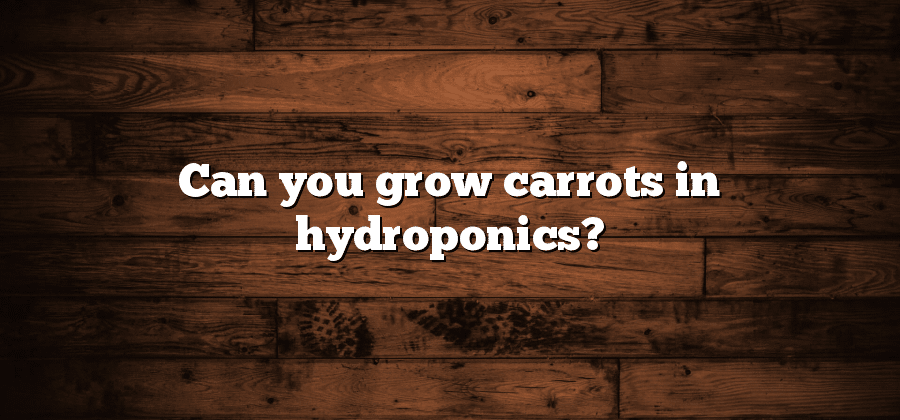 Can you grow carrots in hydroponics?