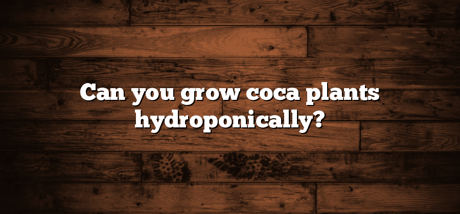 Can you grow coca plants hydroponically?
