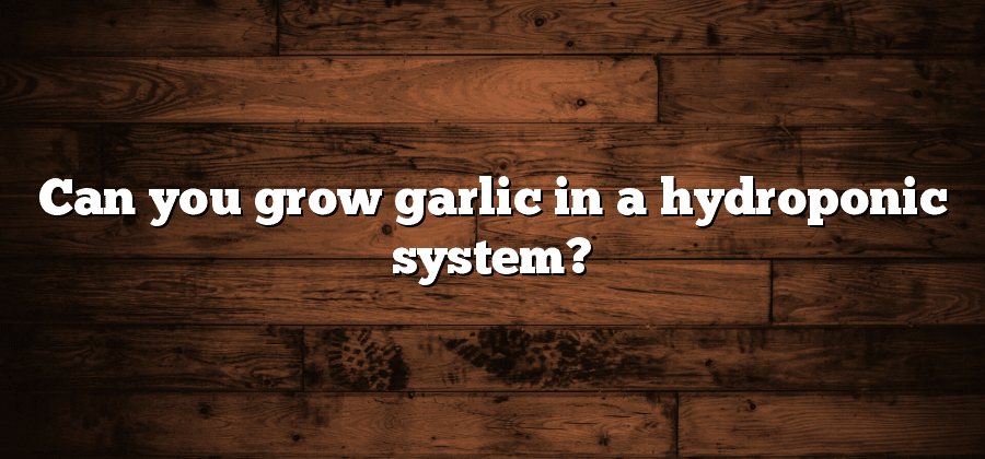 Can you grow garlic in a hydroponic system?