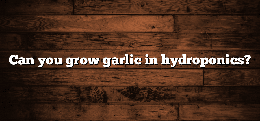 Can you grow garlic in hydroponics?