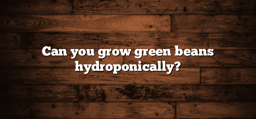 Can you grow green beans hydroponically?