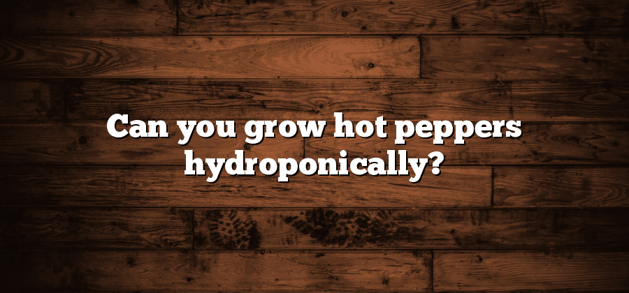Can you grow hot peppers hydroponically?
