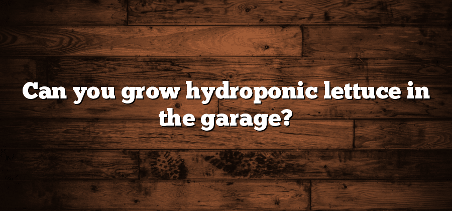 Can you grow hydroponic lettuce in the garage?