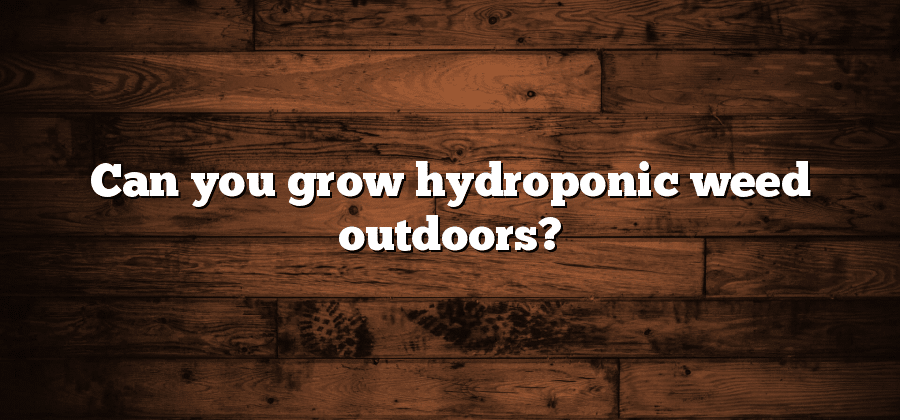 Can you grow hydroponic weed outdoors?