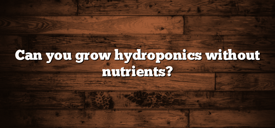 Can you grow hydroponics without nutrients?