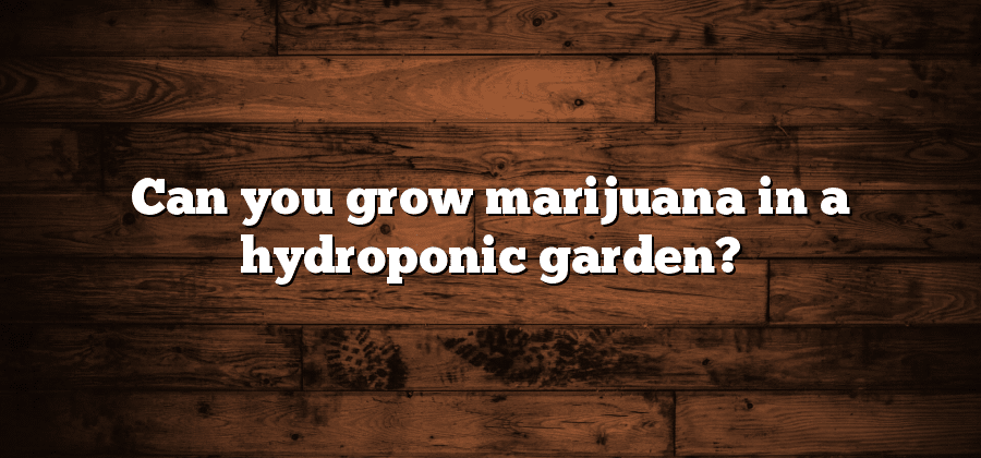 Can you grow marijuana in a hydroponic garden?