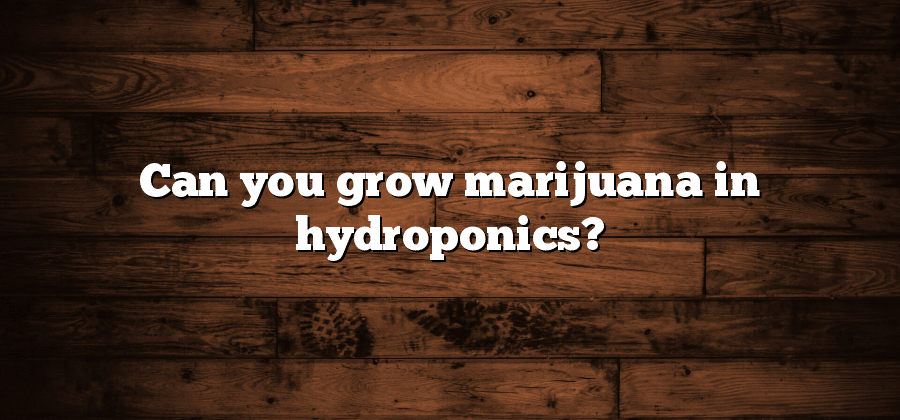 Can you grow marijuana in hydroponics?