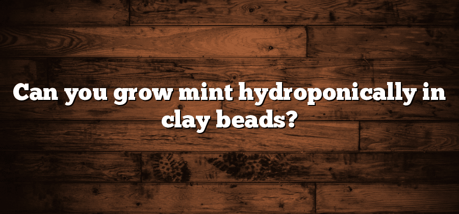 Can you grow mint hydroponically in clay beads?